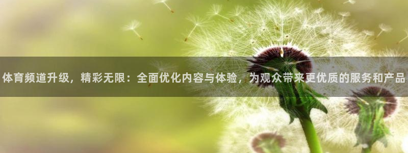 体育频道升级，精彩无限：全面优化内容与体验，为观众带来更优质的服务和产品