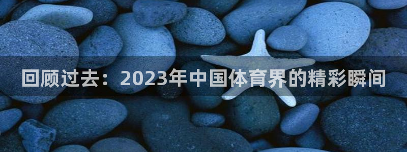回顾过去：2023年中国体育界的精彩瞬间