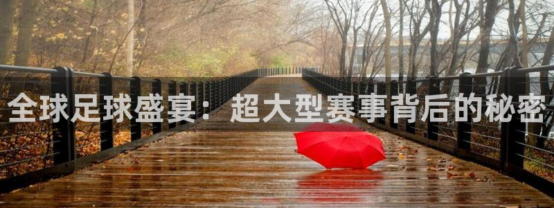 全球足球盛宴：超大型赛事背后的秘密
