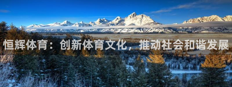 恒辉体育：创新体育文化，推动社会和谐发展