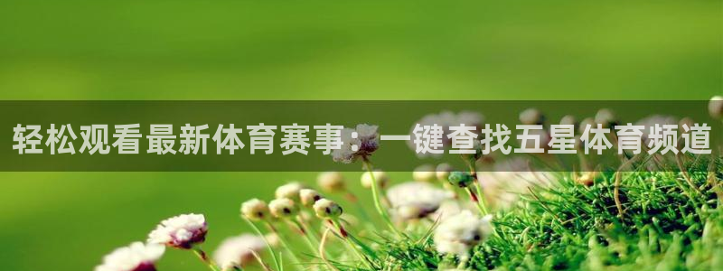 轻松观看最新体育赛事：一键查找五星体育频道