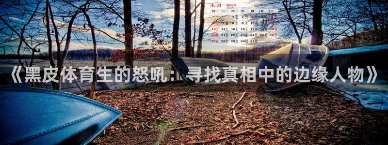 《黑皮体育生的怒吼：寻找真相中的边缘人物》
