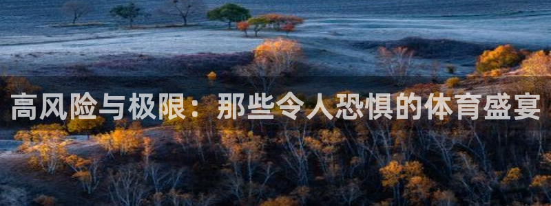 足球500比分网：高风险与极限：那些令人恐惧的体育盛宴