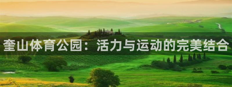 500体育比分查询：奎山体育公园：活力与运动的完美结合