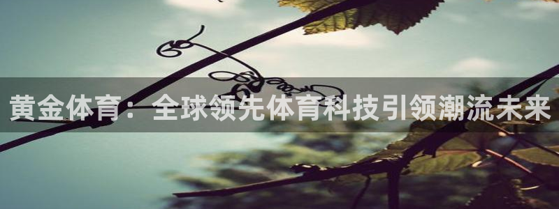 足球实时比分500：黄金体育：全球领先体育科技引领潮流未来