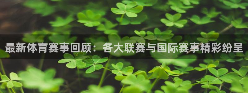 今足球比赛比分500