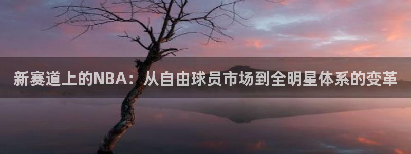 足球500完整比分：新赛道上的NBA：从自由球员市场到全明星体系的变革