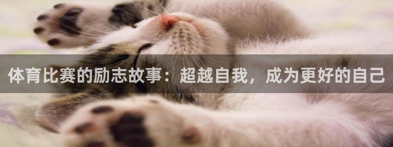 500网足球即时比分
