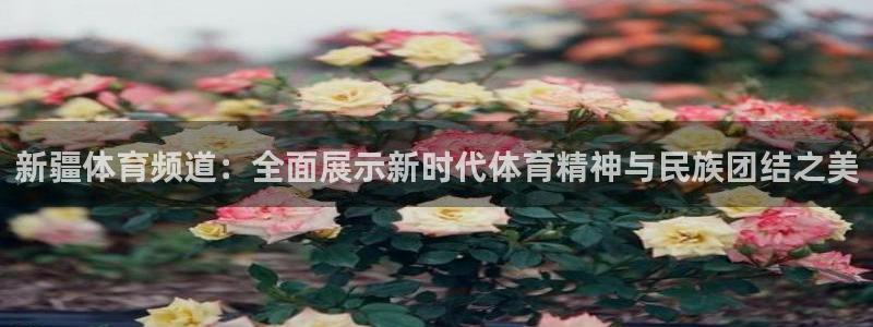 今足球比赛比分500：新疆体育频道：全面展示新时代体育精神与民族团结之美