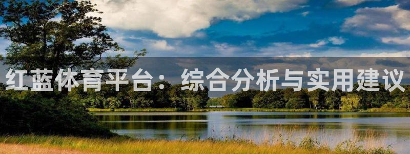 500比分网即时比分：红蓝体育平台：综合分析与实用建议