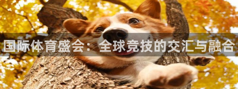 500足球完场比分直播完整版
