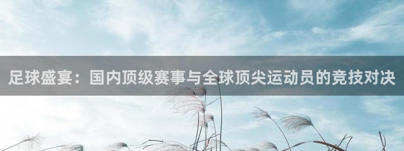 足球比分即时查询500：足球盛宴：国内顶级赛事与全球顶尖运动员的竞技对决