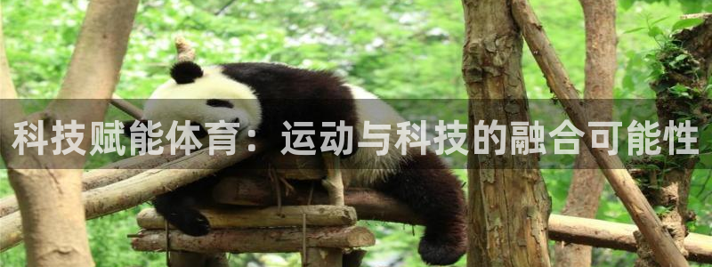 500比分直播即时：科技赋能体育：运动与科技的融合可能性
