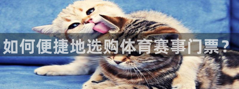 500开奖结果：如何便捷地选购体育赛事门票？
