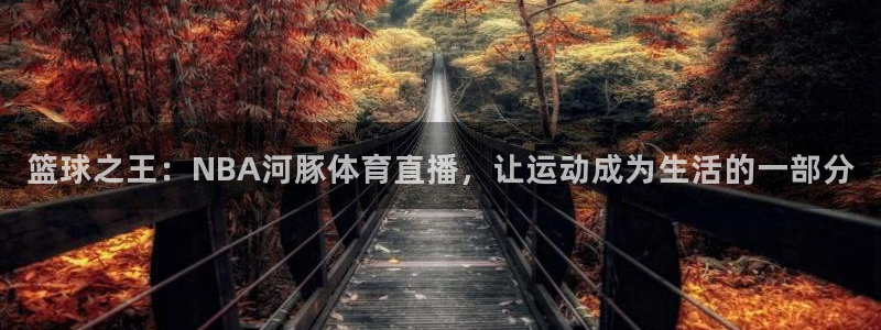 500全国开奖结果查询：篮球之王：NBA河豚体育直播，让运动成为生活的一部分